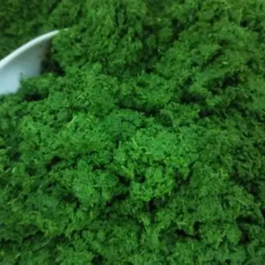 ใบมันสำปะหลังคุณภาพสูงแช่แข็งสดใหม่สำหรับการทำอาหารทุกวัน - Product Image 3