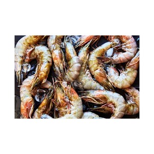 Camarones Vannamei congelados, suministro a granel, venta al por mayor, exportación de mariscos de primera calidad - Product Image 6