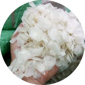 ÉCAILLES DE POISSON DU VIETNAM POUR LA FABRICATION DE COLLAGÈNE MS MARY - Product Image 1