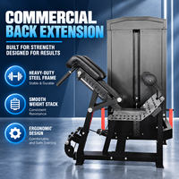 BN Machine d'extension dorsale à résistance sélectionnable pour entraînement lombaire, équipement de fitness pour hôtels, gymnases, écoles, centres de fitness et cliniques de réadaptation