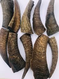 High Quality <b>Dog</b> Chews Natural <b>Water</b> Buffalo Horns <b>Dog</b> Treats Eco-Friendly Customized Color at Low Price - Product Image 6