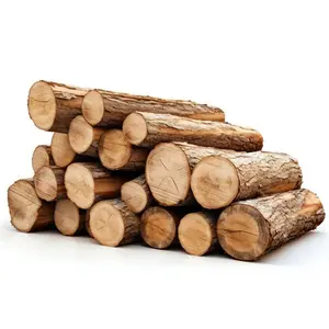 저렴한 목재 통나무, 소나무 통나무 및 목재 통나무 판매, 하이 퀄리티 목재 통나무 판매 가능