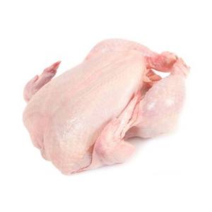 Poulet congelé de haute qualité, vente en gros à prix avantageux, poulet entier et en morceaux halal congelé - Product Image 2