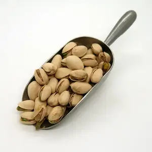 Kacang Pistachio Harga bagus siap untuk dikirim Murni 100% Pistachio jumlah besar profesional mentah untuk dijual