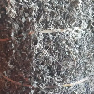 ใบเจลลี่หญ้าดำแห้งของเวียดนาม (Mesona Chinensis) ราคาแข่งขันสำหรับการส่งออกจากเวียดนาม - Product Image 4