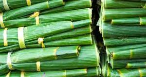 Frozen <b>Banana</b> Leaves - High-Quality and Sterilized - Bulk Wholesale From Vietnam - Product Image 4