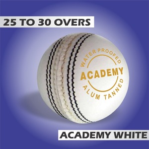 Paquete de 6 pelotas de grillo de cuero blanco Academy de la mejor calidad estándar internacional ALUM Tannde pelotas de cuero - Product Image 2