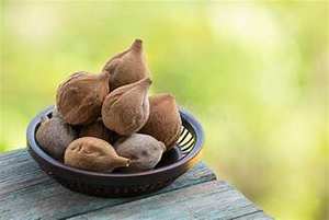 TERMINALIA BELLIRICA EN POLVO A BASE DE PLANTAS PARA APOYAR EL SISTEMA INMUNE Y EL BIENESTAR GENERAL - Product Image 6