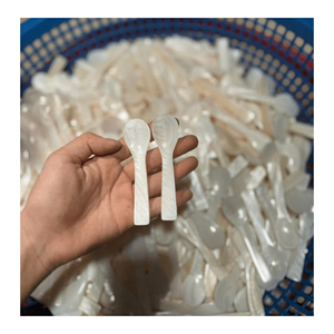 Cuillère en coquille de conque polie faite à la main au Vietnam, idéale pour les expositions artistiques et les concepts de vaisselle naturelle avec une bonne affaire - Product Image 1