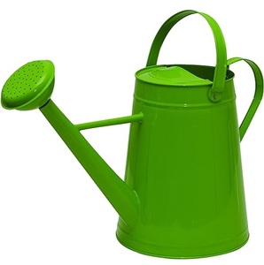 Modern Luxury Look Metal Watering <b>can</b> for Plants Garden <b>Water</b> <b>can</b> for Kids Flower Watering Pot for Home Gardening - Product Image 5