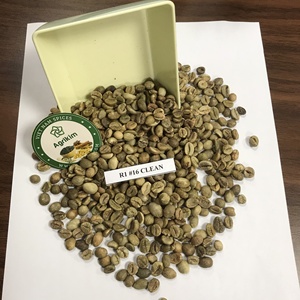 [Top 1 fournisseur] Robusta Green Coffee Beans Premium Grade ISO Certified Vietnam Exportateur de Daklak - Product Image 6