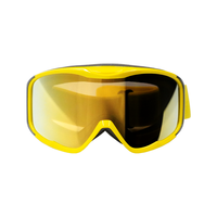 Lunettes de ski neige