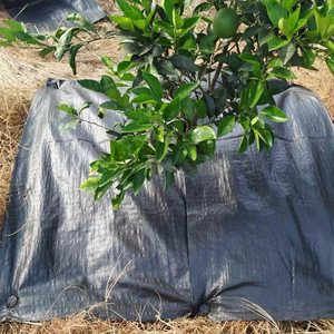 Prodotti di plastica agricoltura Estera De Malezas Barrera Contra Las Malas Hierbas Cobertura vegetale Tejida Para Invernadero - Product Image 1