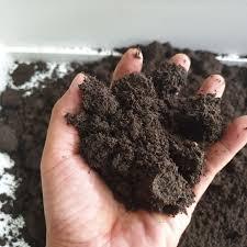 Fertilizante de vermicompost orgánico a granel | Fundiciones de gusanos de primera calidad para uso agrícola - Product Image 6