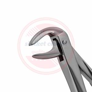 Forceps dentaires incurvés à vendre/Forceps d'extraction de dents dentaires d'équipement dentaire de haute qualité - Product Image 3