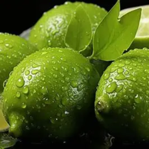 FOURNISSEUR EN GROS CITRON VERT ET JAUNE FRAIS - Product Image 2