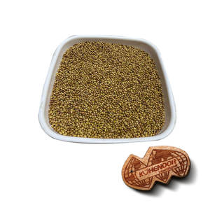 Berseem Clover | Corte limpio y fino para un fácil manejo - Product Image 2