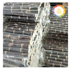 Palitos de Caña de Azúcar Congelados IQF a Granel, Duraderos, con Sabor Natural y Alto Rendimiento de Jugo para Almacenamiento Prolongado - Product Image 5