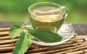 Feuilles de goyave séchées directement de la ferme, matière première non transformée, vente chaude, pas cher - Product Image 4