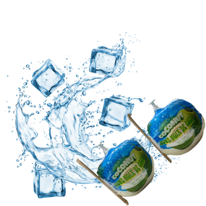 Noix de coco vietnamienne fraîche délicieusement pure hydratation-l'agriculture à son meilleur - Product Image 2