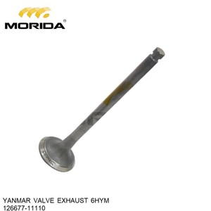 6HY 126677-11081 VALVE SEAT IN pour YANMAR - Product Image 4