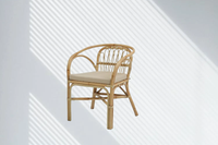 Fauteuil Dolvio en rotin polyvalent, idéal pour la détente et la vie en plein air – Confort optimal, produit phare