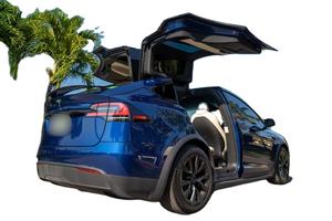 Modelo X 2022 Usado en Excelentes Condiciones a Precio de Mayoreo, Doble Motor, Tracción en las Cuatro Ruedas, Bajo Kilometraje, Sin Problemas Mecánicos, Listo para Conducir - Product Image 6