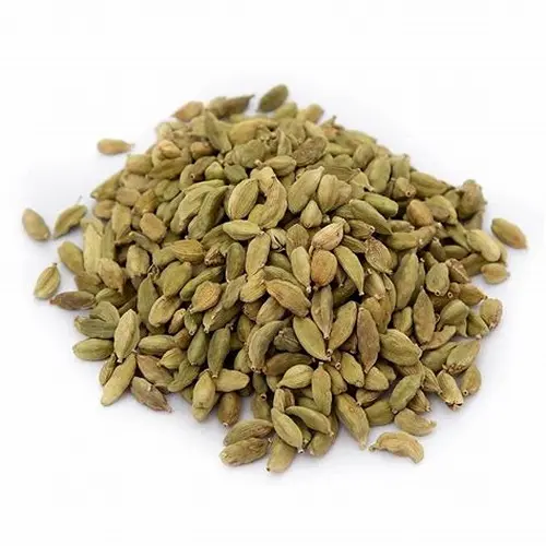 Ready for export Green Cardamom Seasonings Spices for Good Flour Available at Wholesale Price from USA Supplier Green Cardamom