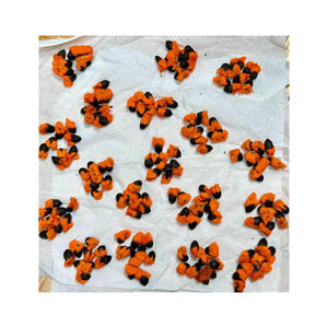 เมล็ดนกสวรรค์จำนวนมากเสนอขายให้กับผู้ซื้อพืชสวนและไม้ประดับ - Product Image 4