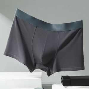 Fabricantes Directos OEM, Ropa Interior Masculina, Calzoncillos Boxer con Estampado, Venta al por Mayor, Calzoncillos Personalizados con Logotipo, Calzoncillos de Diseñador para Adultos - Product Image 1