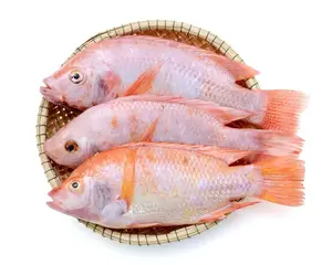 Raw material for colalagen from dried fish scales black and red tilapia scale with cheap price in Vietnam