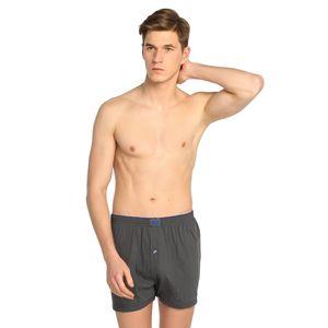 Passion Men's XXL Combed Cotton Plain <b>Boxer</b> High-Mid Rise <b>Silk</b> Briefs with Breathable Feature Waist Logo Smoke S Color - Product Image 1