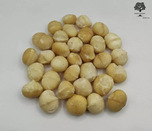 Noix de macadamia de qualité supérieure crues et grillées, salées, collations saines, noix de macadamia séchées sans coque - Product Image 4