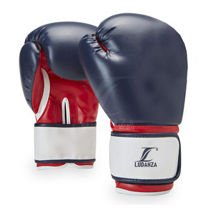 Gants de boxe d'entraînement de combat pour la vente en ligne Gants de boxe confortables Gants de boxe personnalisés professionnels - Product Image 1
