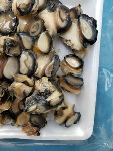 Việt Nam đông lạnh Moon Apple <span class=keywords><strong>SNAIL</strong></span> thịt giá tốt nhất nấu chín Apple <span class=keywords><strong>SNAIL</strong></span> cho nhà hàng - Product Image 4