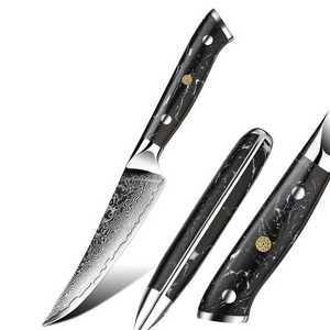 Vente chaude Personnalisé Titane Couteau Pliant Portable En Plein Air Survie Camping Couteau De Poche avec Lame En Acier et Poignée En Plastique - Product Image 1