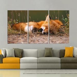Tableau imprimé sur toile élégant : renard dans une forêt illuminée par la lune, ensemble de 3 toiles - Product Image 1