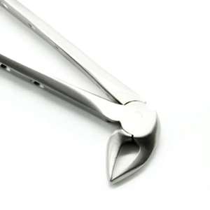 คีมถอนฟันเครื่องมือทันตกรรม - Product Image 6