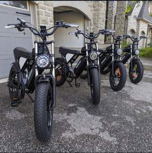 Vélo électrique hybride Riddsta Q20 Pro à vente rapide, 750W 2000W, pneus larges de 20 pouces - Product Image 2