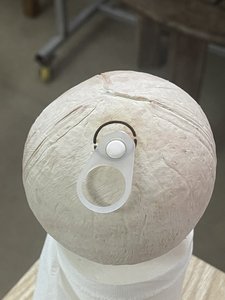 [KEITH VILACONIC] DELUXE FRESH RING-PULL <strong>COCONUT</strong> - EASY ACCESS, HIGH <strong>QUALITY</strong> &amp; <strong>BEST</strong> PRICING for EXPORT - Product Image 6