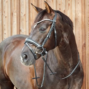 Vente chaude Fancy Show Bridle Exportateur indien Portable Western Riding Gear Cuir PVC Noir Couleur 100% Prix compétitif - Product Image 6