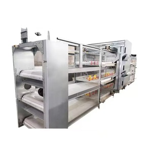 Equipo de jaula de capa automática de nueva condición para cría de aves de corral un tipo jaula de pollo galvanizada - Product Image 3