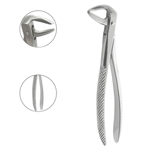 Fórceps de Extracción Dental de Acero Inoxidable de Primera Calidad para Clínicas Dentales - Product Image 4