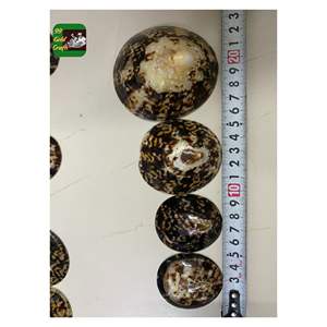 Conchas de Lapa natural de Vietnam para decoración del hogar Fabricación de joyas y exportación ecológica hecha a mano Mercado global - Product Image 6