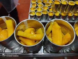 มะม่วงกระป๋องพรีเมี่ยมในน้ำผลไม้ธรรมชาติสำหรับการรับประทานอาหารที่สะอาด - Product Image 3