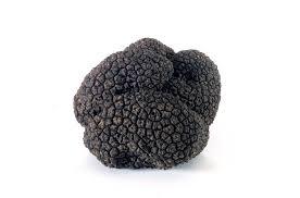Best Quality Black <b>Truffle</b> <b>Mushroom</b> For Sale - Product Image 6