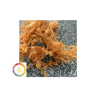 Buena Elección Algas Puras Cottonii Algas Versatiles Ideal para Aperitivos, Ensaladas Y Formulaciones De Belleza - Product Image 1