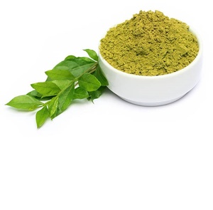 Poudre de henné naturelle sans produits chimiques en provenance d'Inde |   Coloration et soin capillaire à base de plantes |   Exportation en gros - Product Image 3