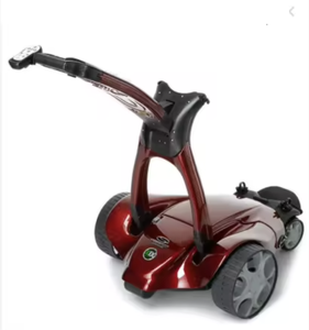 Nouvelle voiturette de golf électrique Golf-X9 avec fonction de poussée à distance, gamme Signature industrielle DIY, personnalisable, support OEM & ODM - Product Image 1