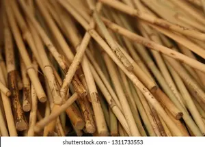 เสาหวายแบบแบนพร้อมก้านขนาด10-20มม. สำหรับงานหัตถกรรมทำจากหวายเป็นมิตรต่อสิ่งแวดล้อม - Product Image 3